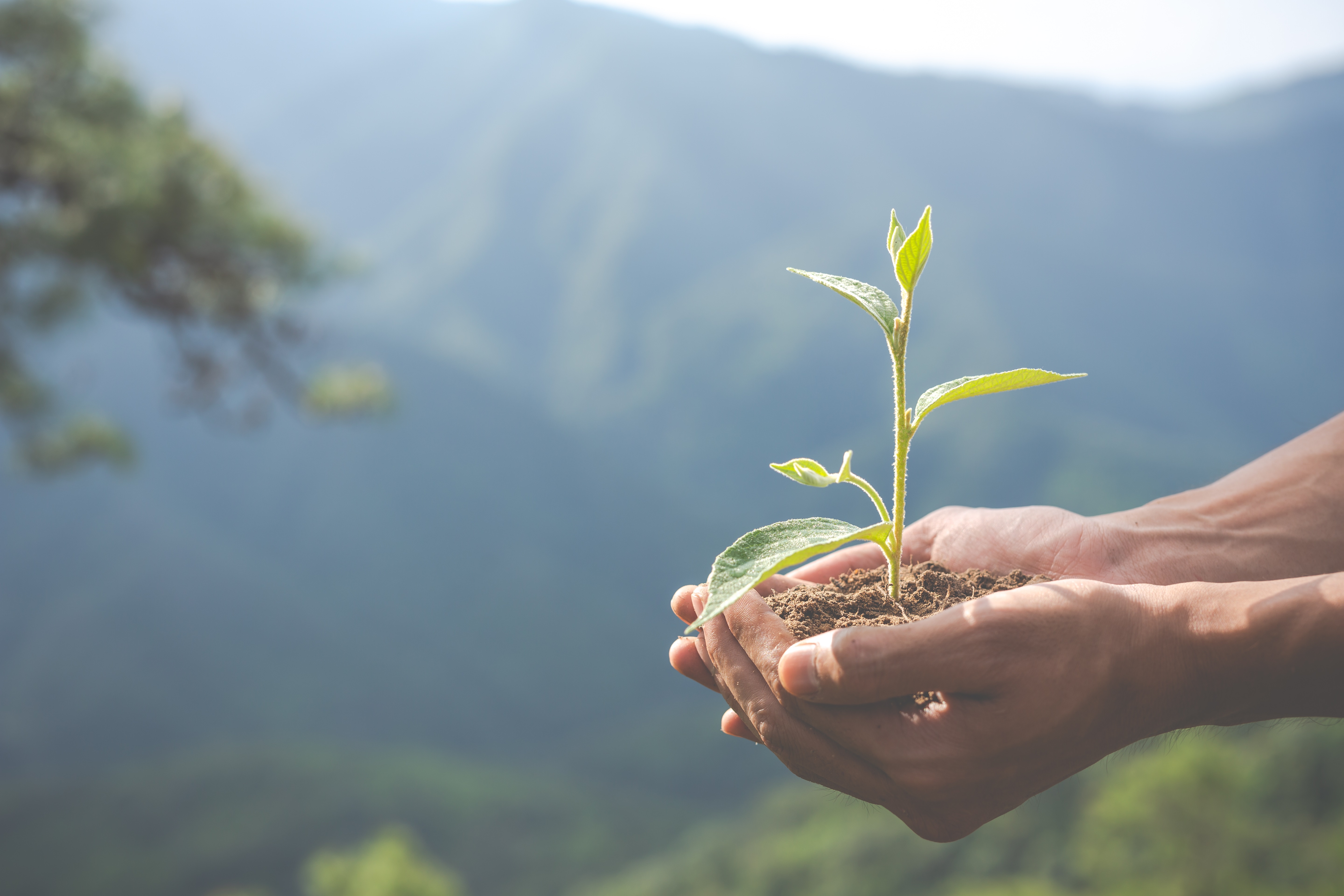 <b>Préserver la biodiversité</b>